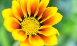 Featured image of post Photography