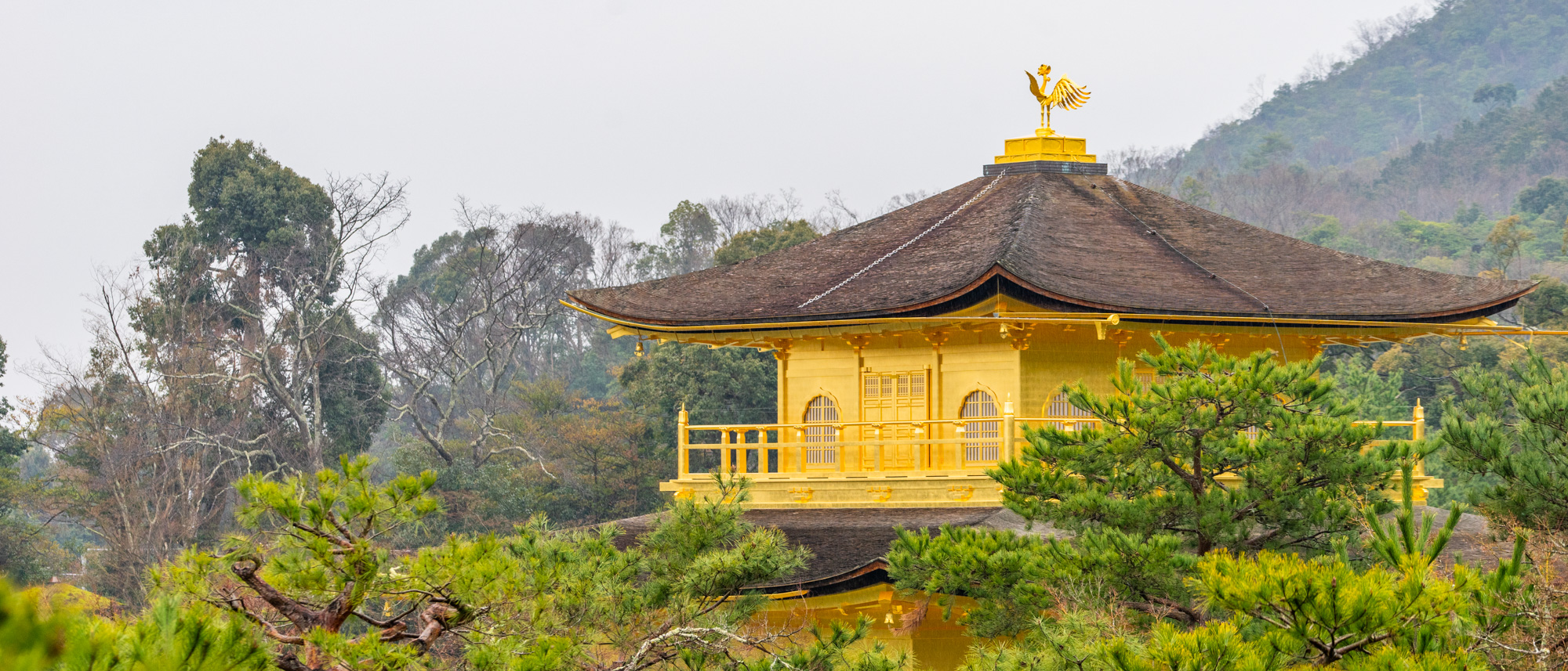 2019日本行 – 第四天雨中漫步Kyoto二条城,天满宫,龙安寺和金阁寺