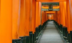 Featured image of post 2019日本行 – 第五天告别Kyoto之伏见稻荷大社和宇治平等院