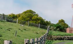 Featured image of post 2019 Second Tour in Warrnambool Day Two Flagstaff Hill