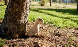 Featured image of post 2021 Easter Holiday at Daylesford - Day 1