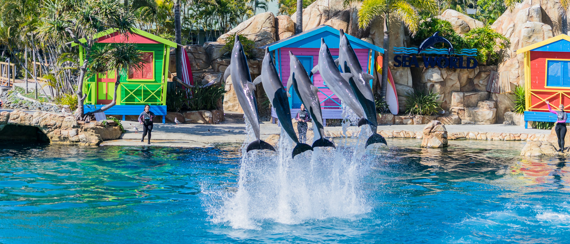 2018 Goldcoast之行 – Day 2 : Sea World