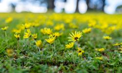 Featured image of post Sony A7 La Ea4 and Sigma 35 F1.4 Art Review