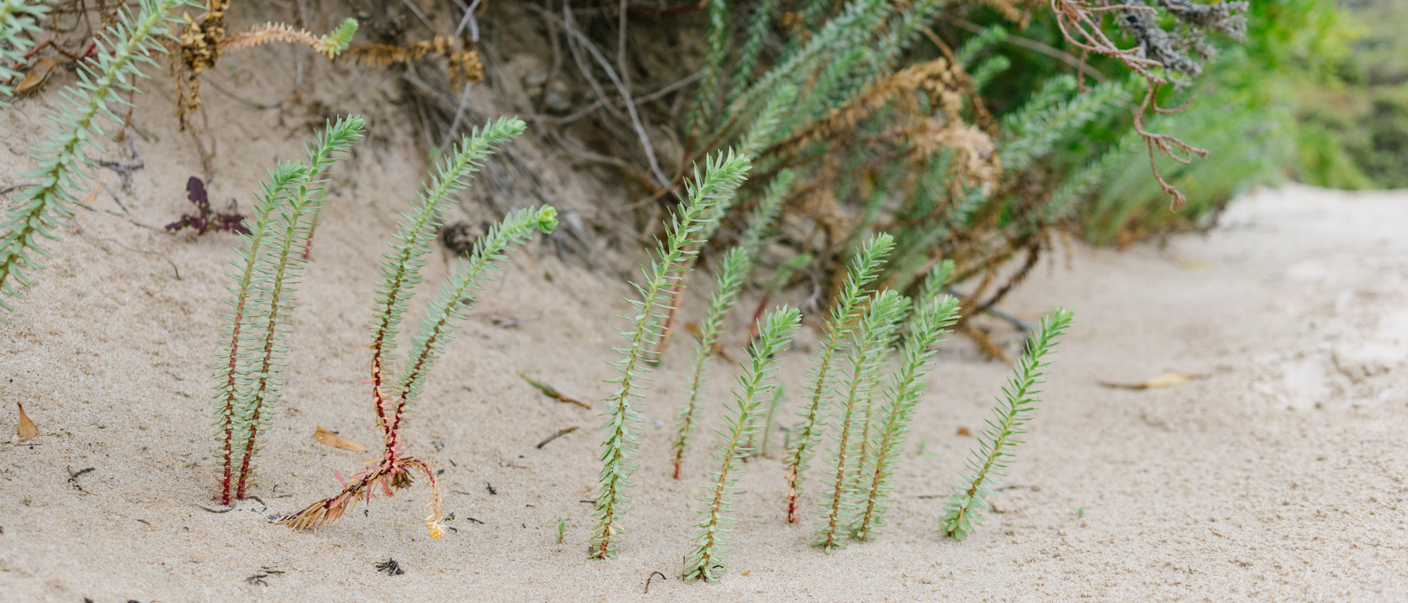 Weekend Getaway to Venus Bay and Wilsons Promontory
